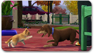 Die Sims 3 Einfach tierisch